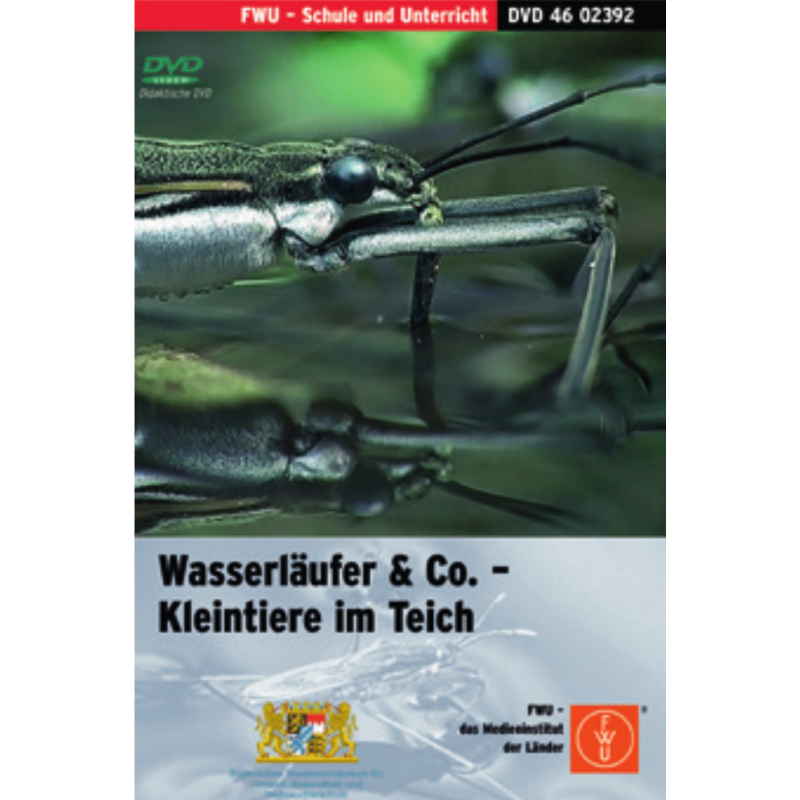 DVD „Wasserläufer & Co Kleintiere im Teich“ - didaktisch