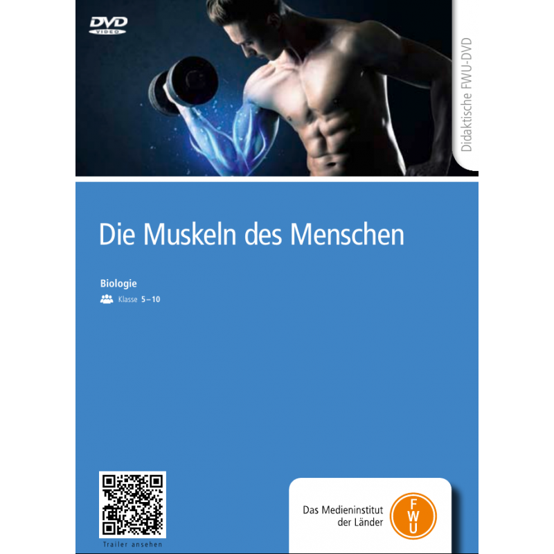 DVD „Die Muskeln des Menschen“ - didaktisch