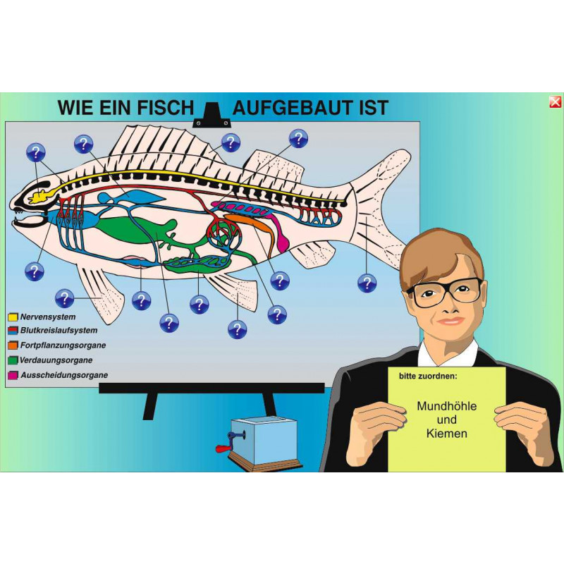 Digitale Folien Grundwissen Zoologie II: Fische, Amphibien, Reptilien, Vögel