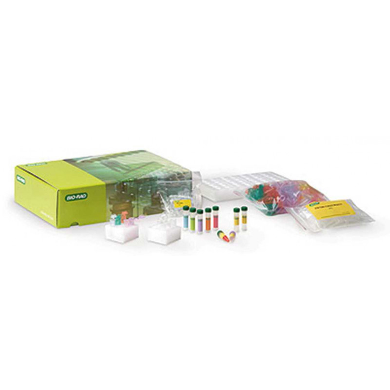 Abbildung ähnlich - Bild zeigt das komplette Crime Scene Investigator PCR Basics™-Kit