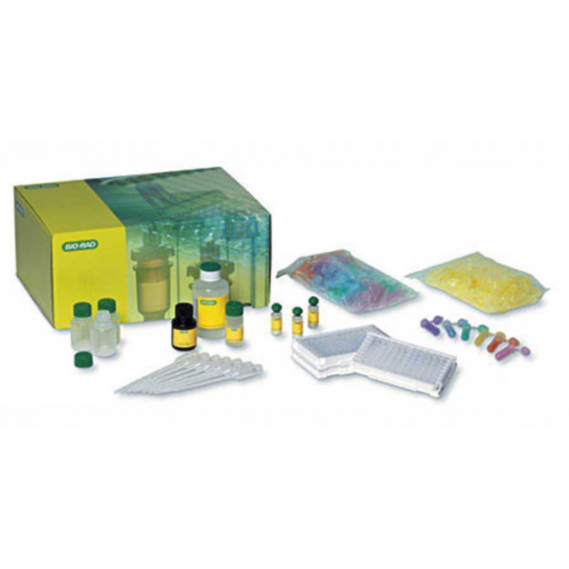 ELISA Immuno Explorer™ Kit