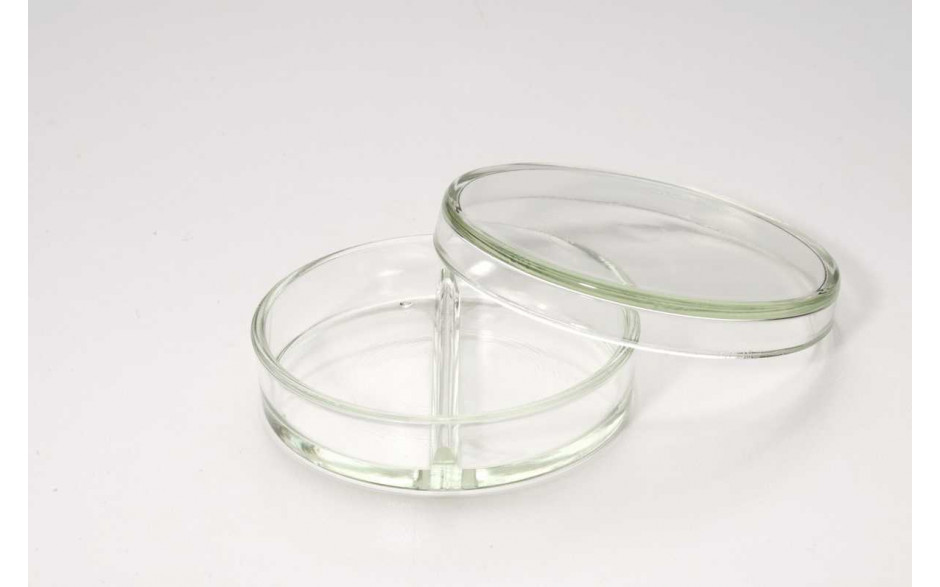 Petrischale aus Glas, ½ Teilung 