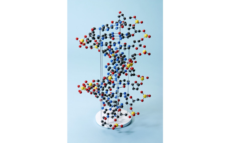 DNA Tischmodell