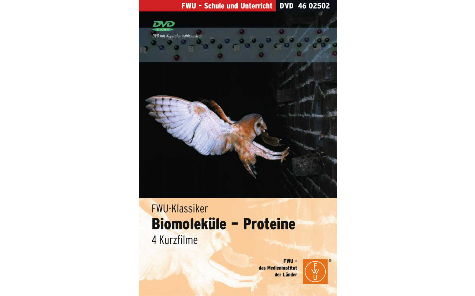 Biomoleküle: Proteine
