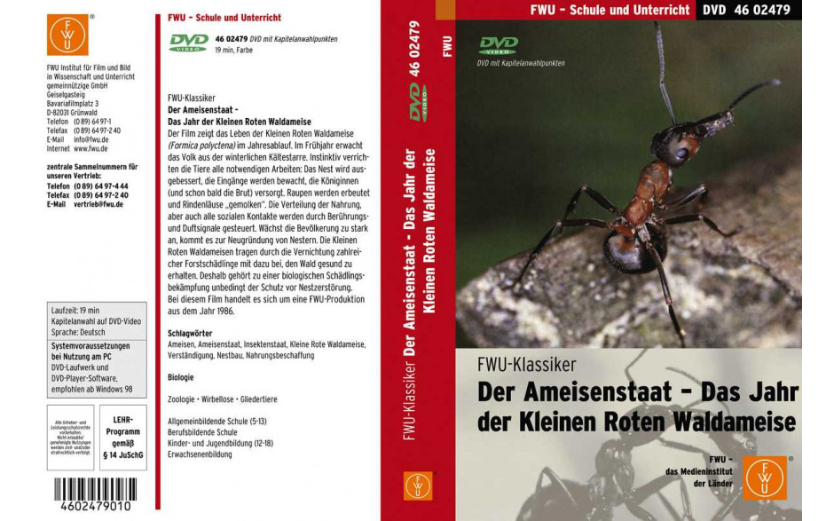 Der Ameisenstaat: Das Jahr der Kleinen Roten Waldameise