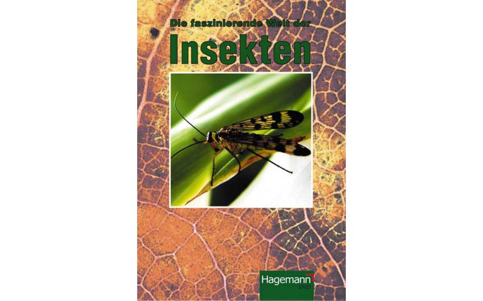 Die faszinierende Welt der Insekten