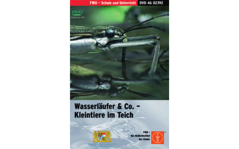 DVD „Wasserläufer & Co Kleintiere im Teich“ - didaktisch