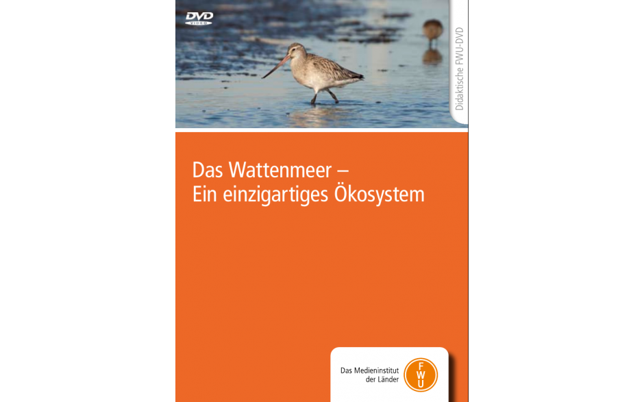 DVD „Das Wattenmeer - Ein einzigartiges Ökosystem“ - didaktisch