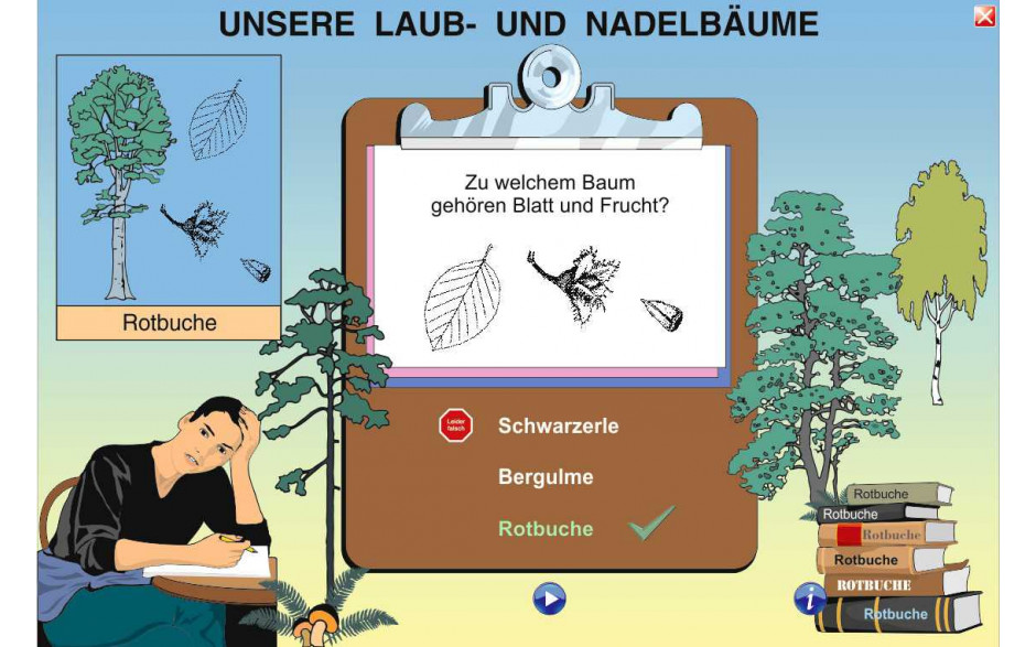 Digitale Folien Grundwissen Botanik II: Der Wald
