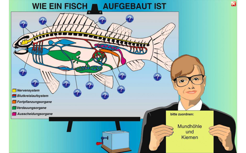 Digitale Folien Grundwissen Zoologie II: Fische, Amphibien, Reptilien, Vögel