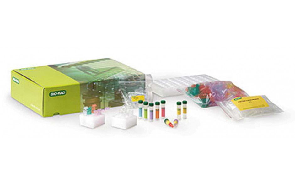 Abbildung ähnlich - Bild zeigt das komplette Crime Scene Investigator PCR Basics™-Kit