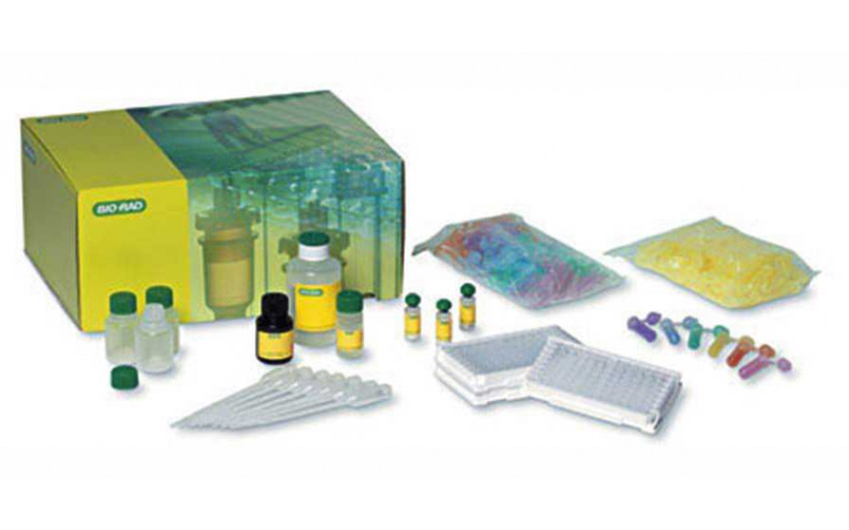 Abbildung ähnlich - Bild zeigt komplettes ELISA Immuno Explorer™ Kit