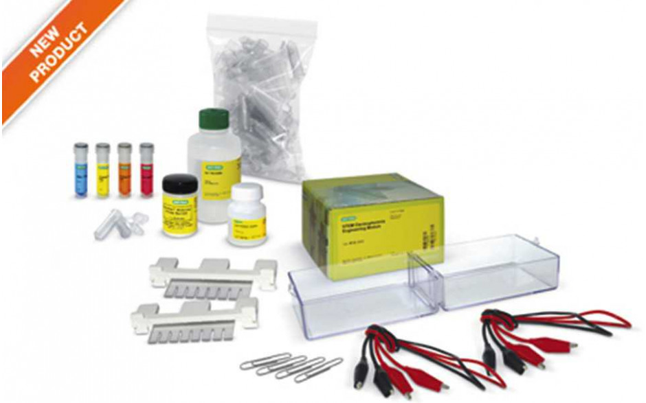 STEM Elektrophorese-Kit