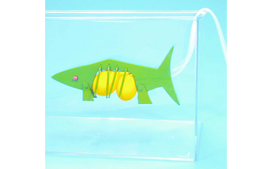 Fisch: Funktionsmodell der Schwimmblase